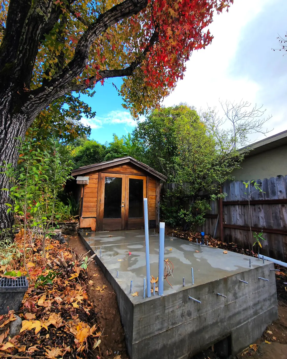 Completed slab w/ conduit, red autumn tree, cedar ADU — Backyard ADU Foundation, San Rafael, CA