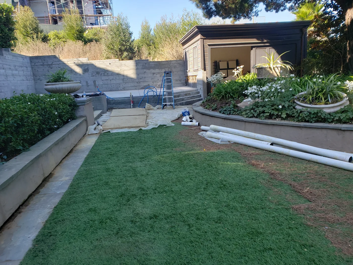 Terraced yard and plantings above the court site — Lombard Street Basketball Court Foundation, San Francisco, CA