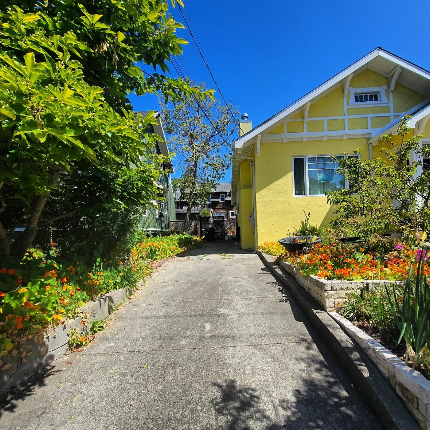 The old plain gray driveway before the rebuild — Oakland Gold Driveway & Patio, Oakland, CA